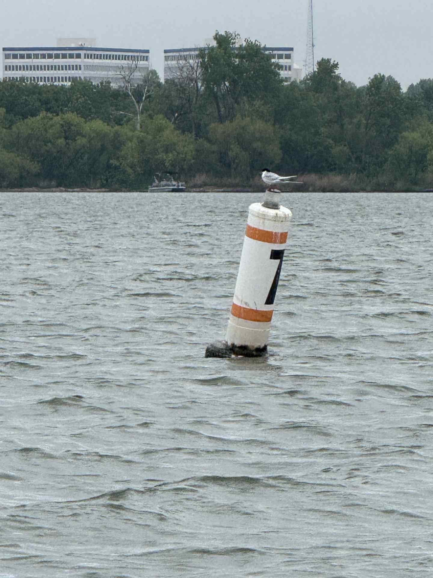 Sailing adventure photo